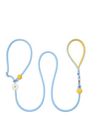 Vetreska Connect Lite Walk Kit - Daisy