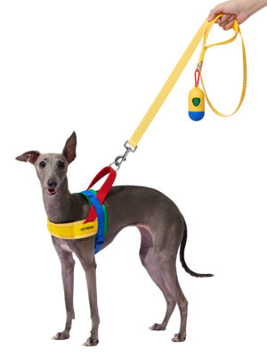 Vetreska Chroma Pet Walk Kit - Yellow (S)