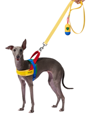 Vetreska Chroma Pet Walk Kit - Yellow (S)