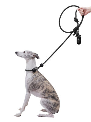 Vetreska Connect Walk Kit – Bow De Noir