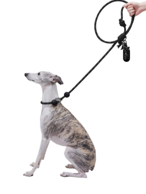 Vetreska Connect Walk Kit – Bow De Noir