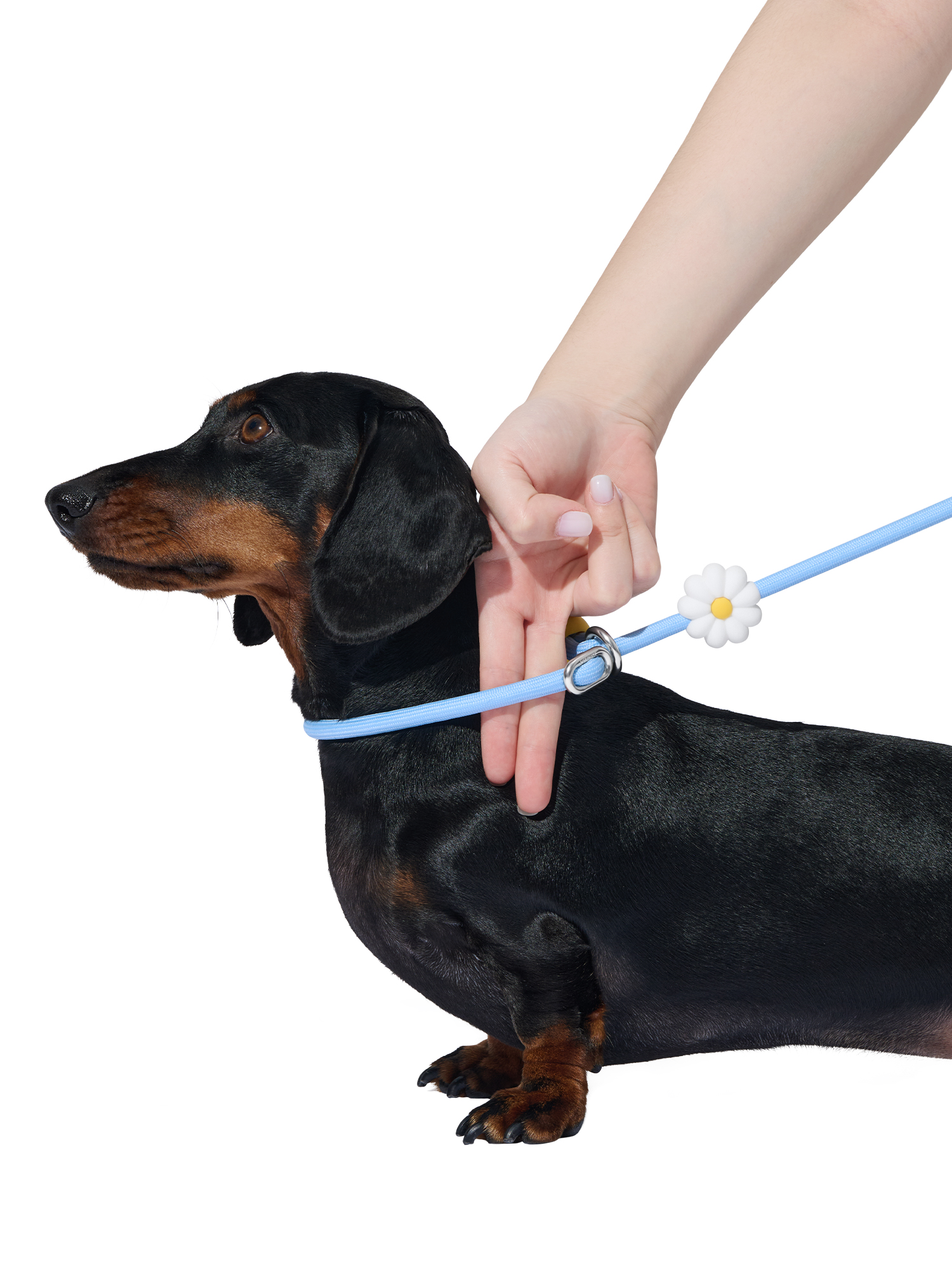 Vetreska Connect Lite Walk Kit - Daisy - Image 5
