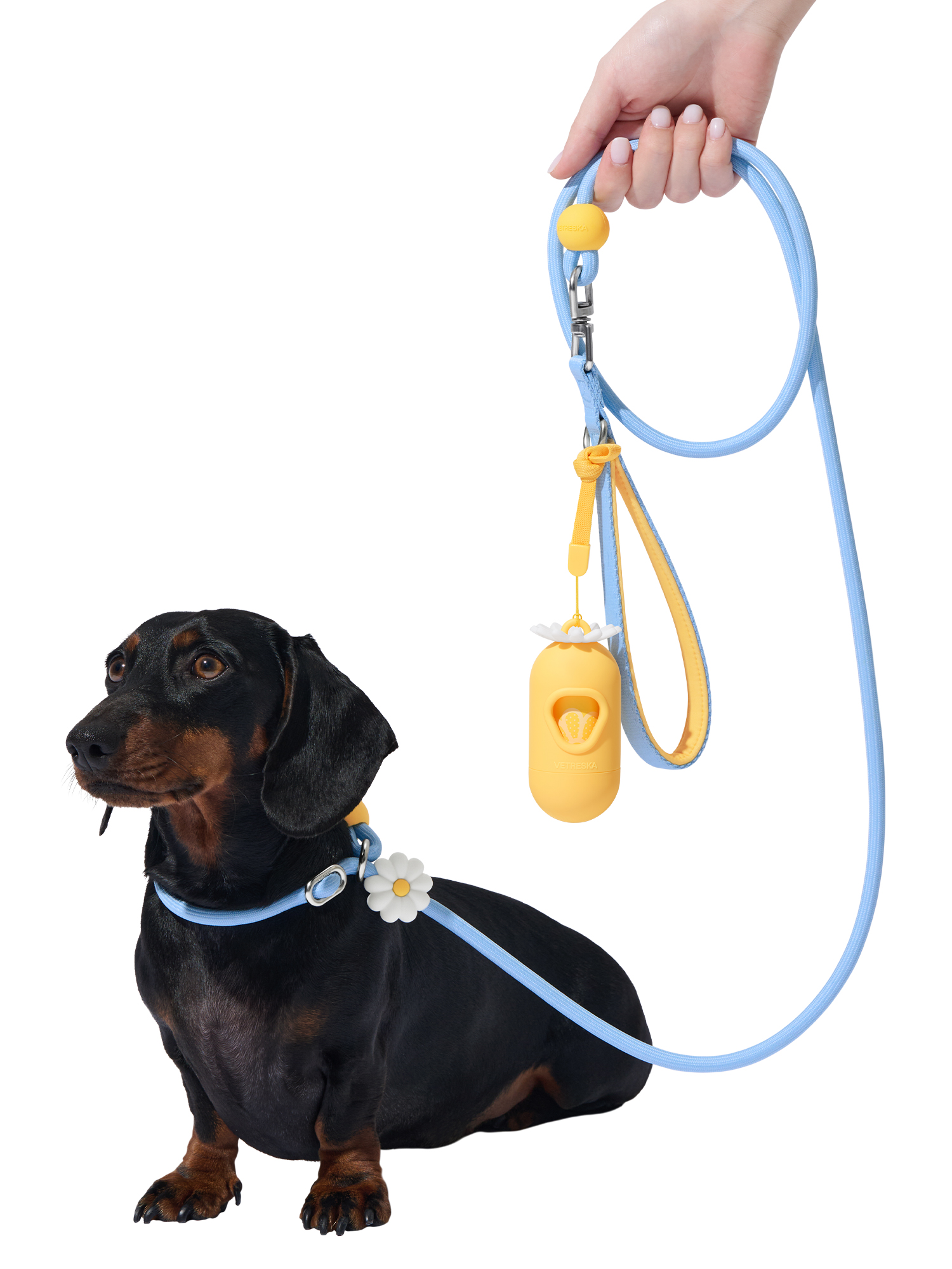 Vetreska Connect Lite Walk Kit - Daisy - Image 6
