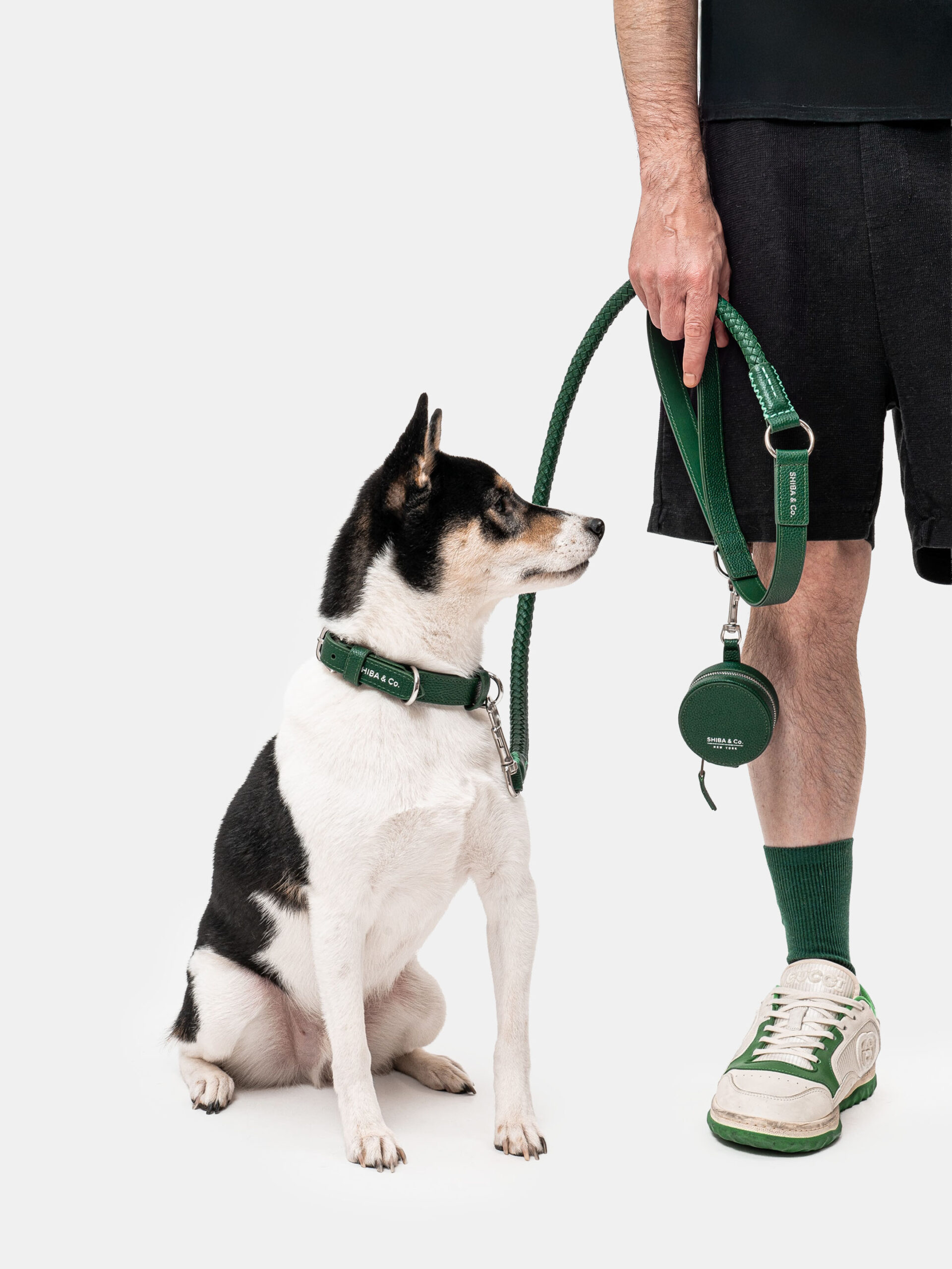 SHIBA & Co.® Lucca Dog Collar In Italian Leather - Forest Green - Image 6
