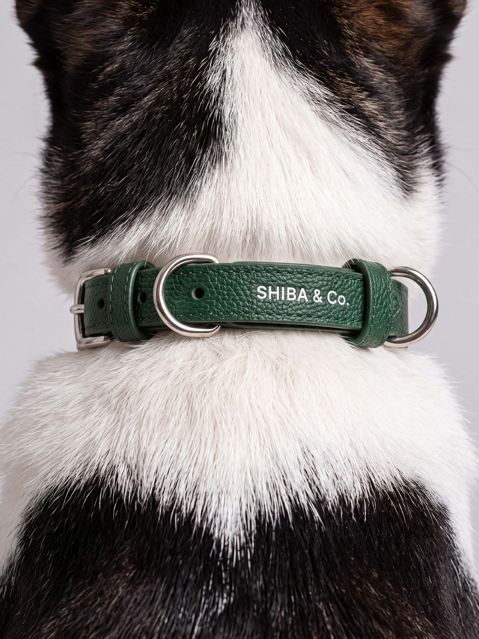 SHIBA & Co.® Lucca Dog Collar In Italian Leather - Forest Green - Image 2