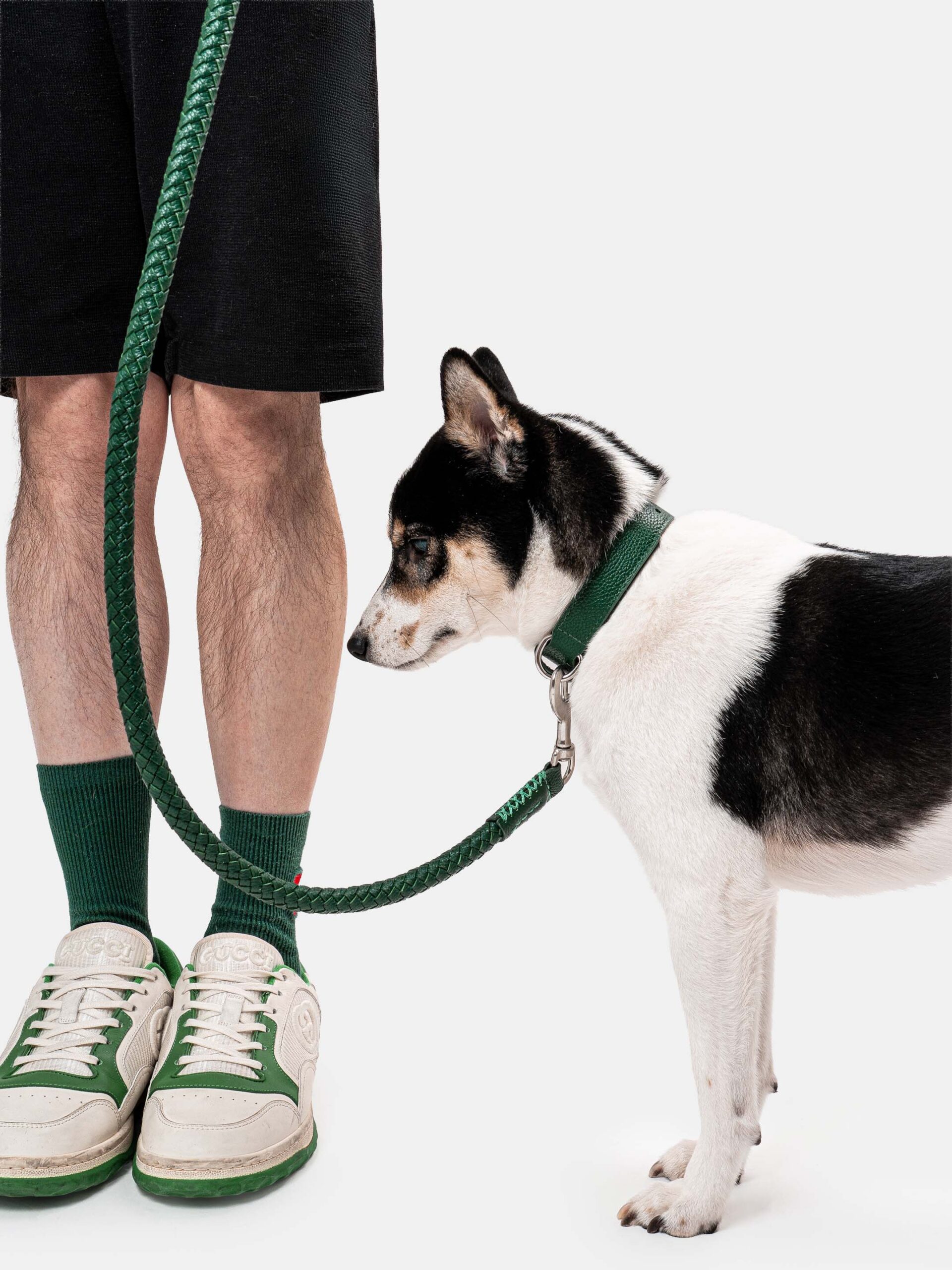 SHIBA & Co.® Lucca Dog Collar In Italian Leather - Forest Green - Image 8