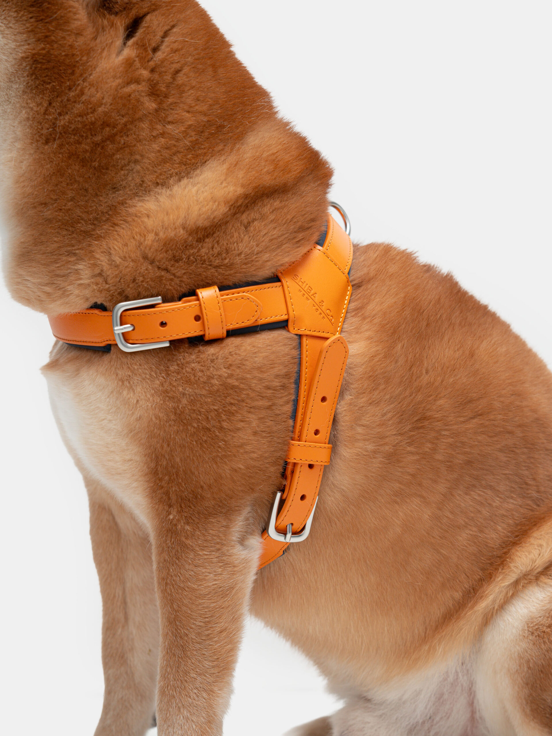 SHIBA & Co.® Milano Dog Harness In Italian Leather - Orange - Image 3