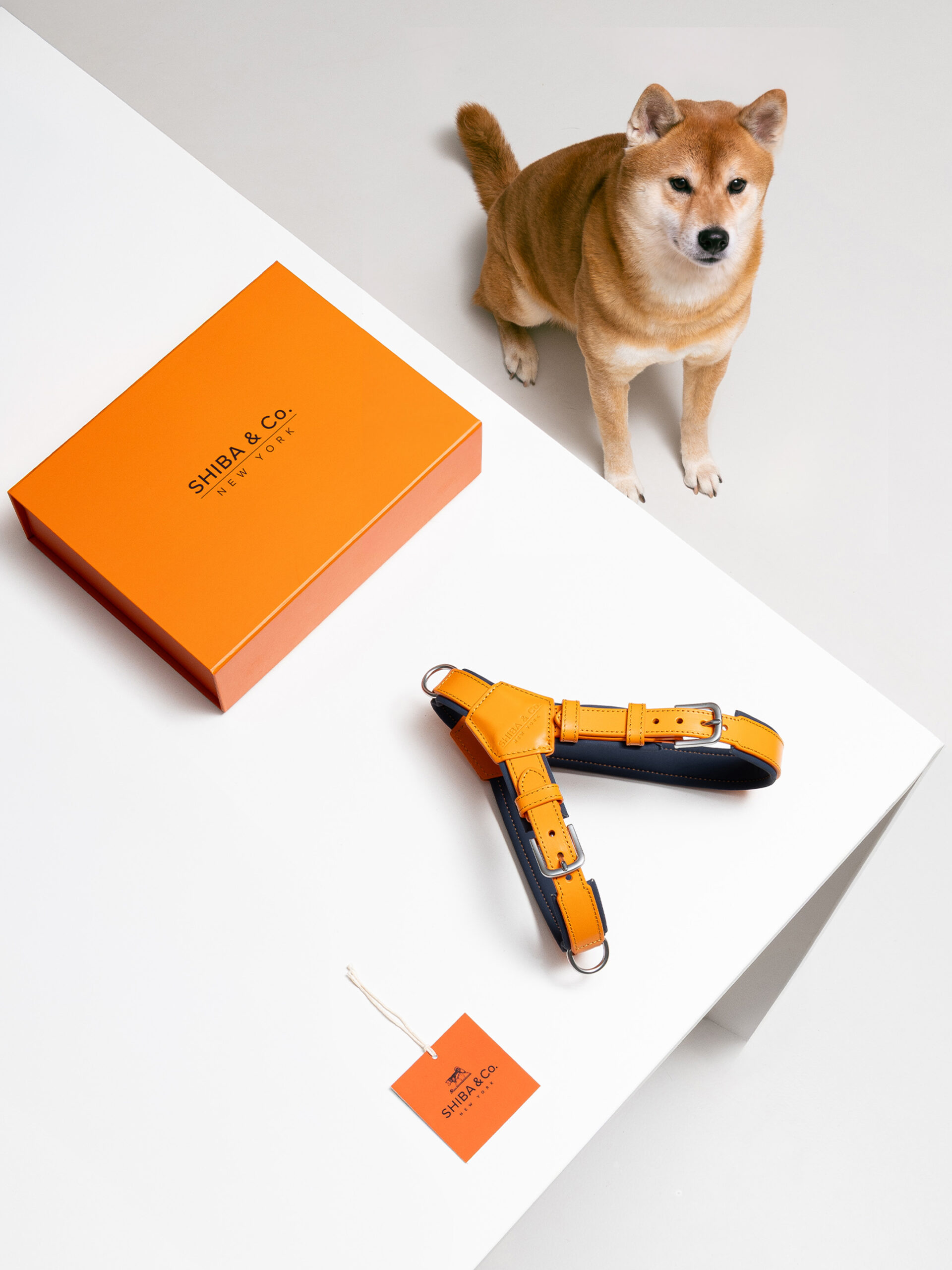 SHIBA & Co.® Milano Dog Harness In Italian Leather - Orange - Image 7