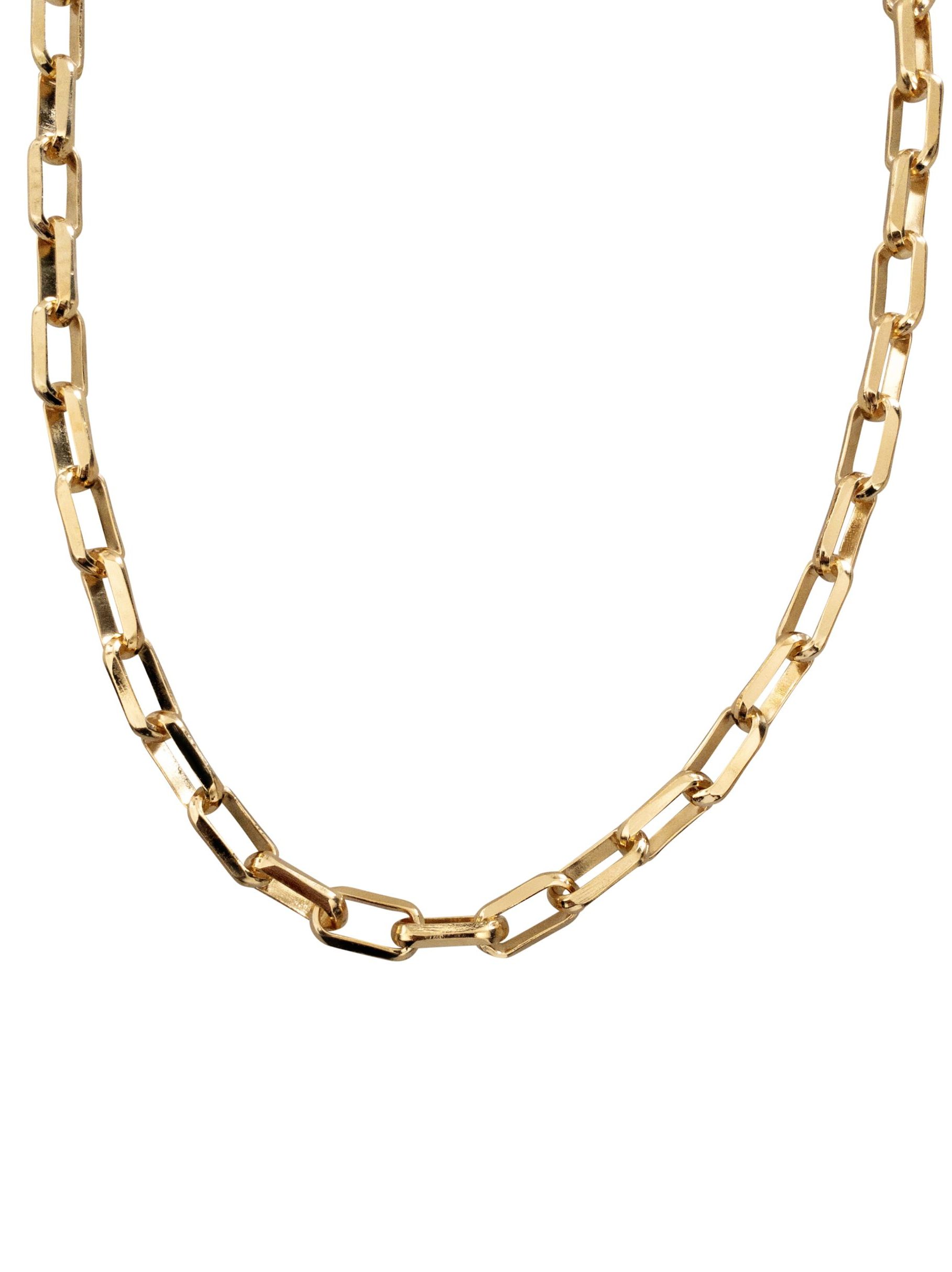 IN CAUDA VENENUM SHAKTI necklace