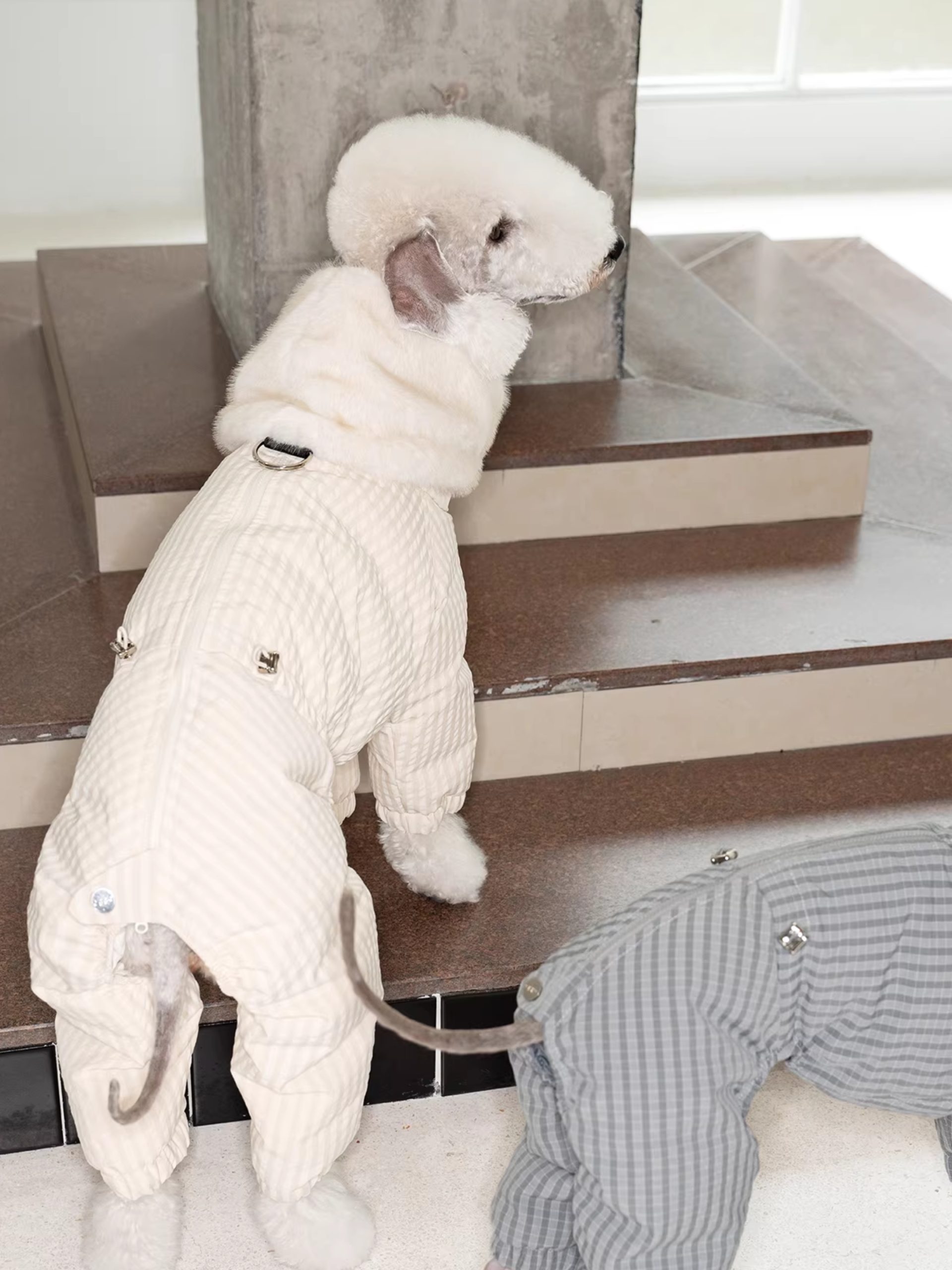 Pawelier White Down Coat Coat/Outerwear - Image 3