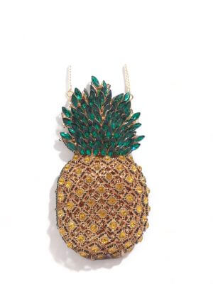 Rosa Isela “who lives in a pineapple under the sea”