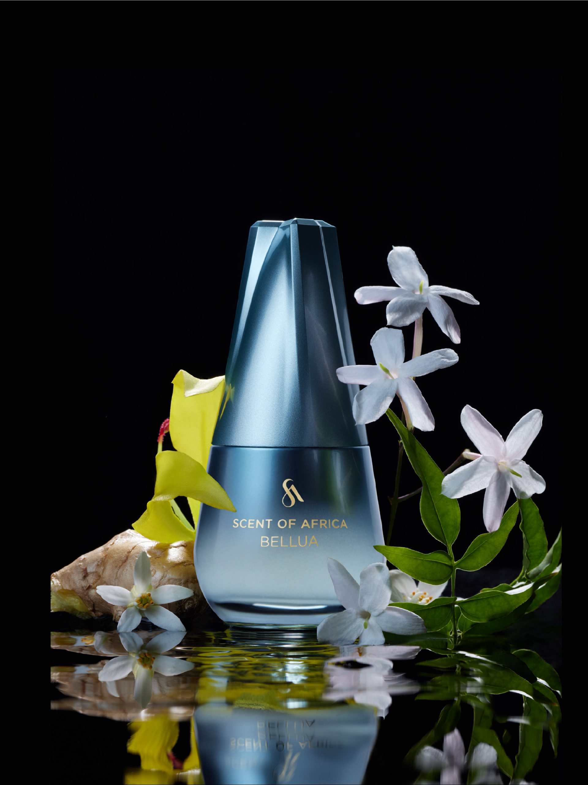 Scent Of Africa Bellua Eau De Parfum 100 ML - Image 2