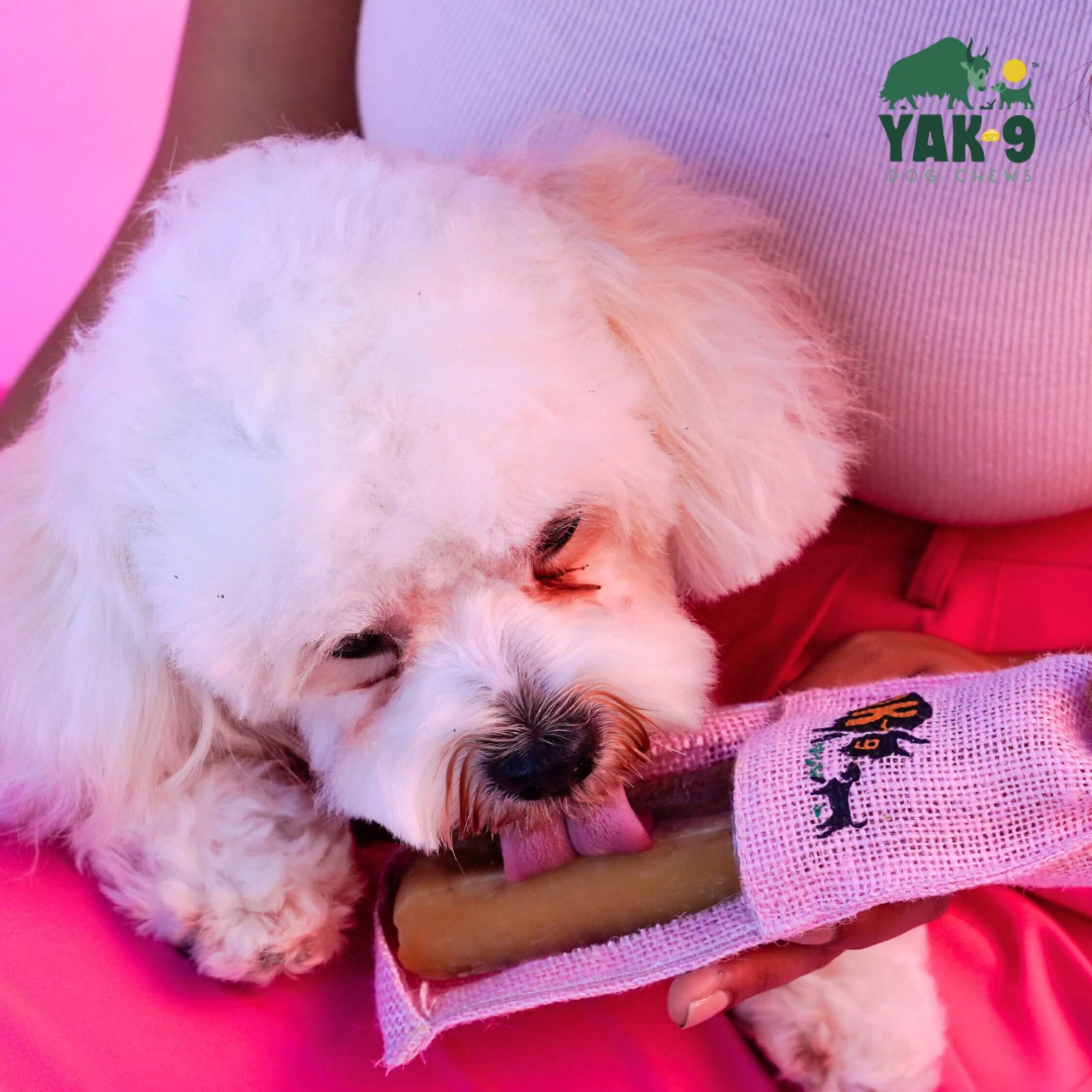 Yak9 Dog Chews Strawberry - Image 4